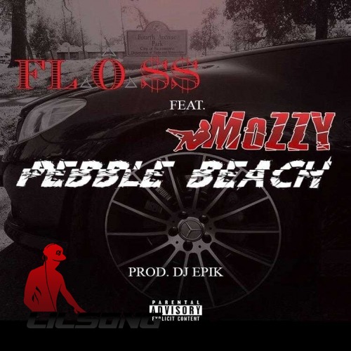 Floss Ft. Mozzy - Pebble Beach